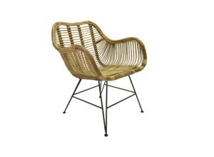 Cane Tub Chair