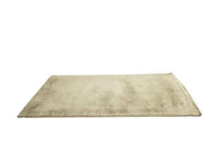 Thick Champagne Rug