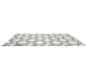 White and Teal Plastic Rug
