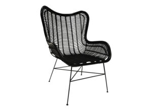 Black Cane Armchair